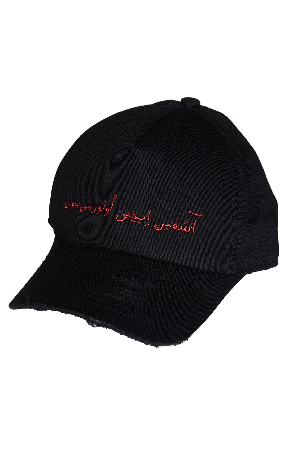 WOULD YOU DIE FOR LOVE CAP